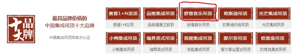 热烈祝贺舒普音乐吊顶荣获集成吊顶行业十大品牌